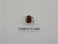 藏品(金龜子科)的圖片